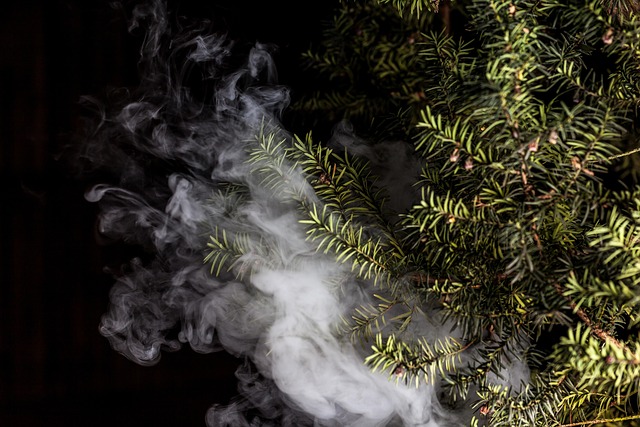 nicotine salt juice