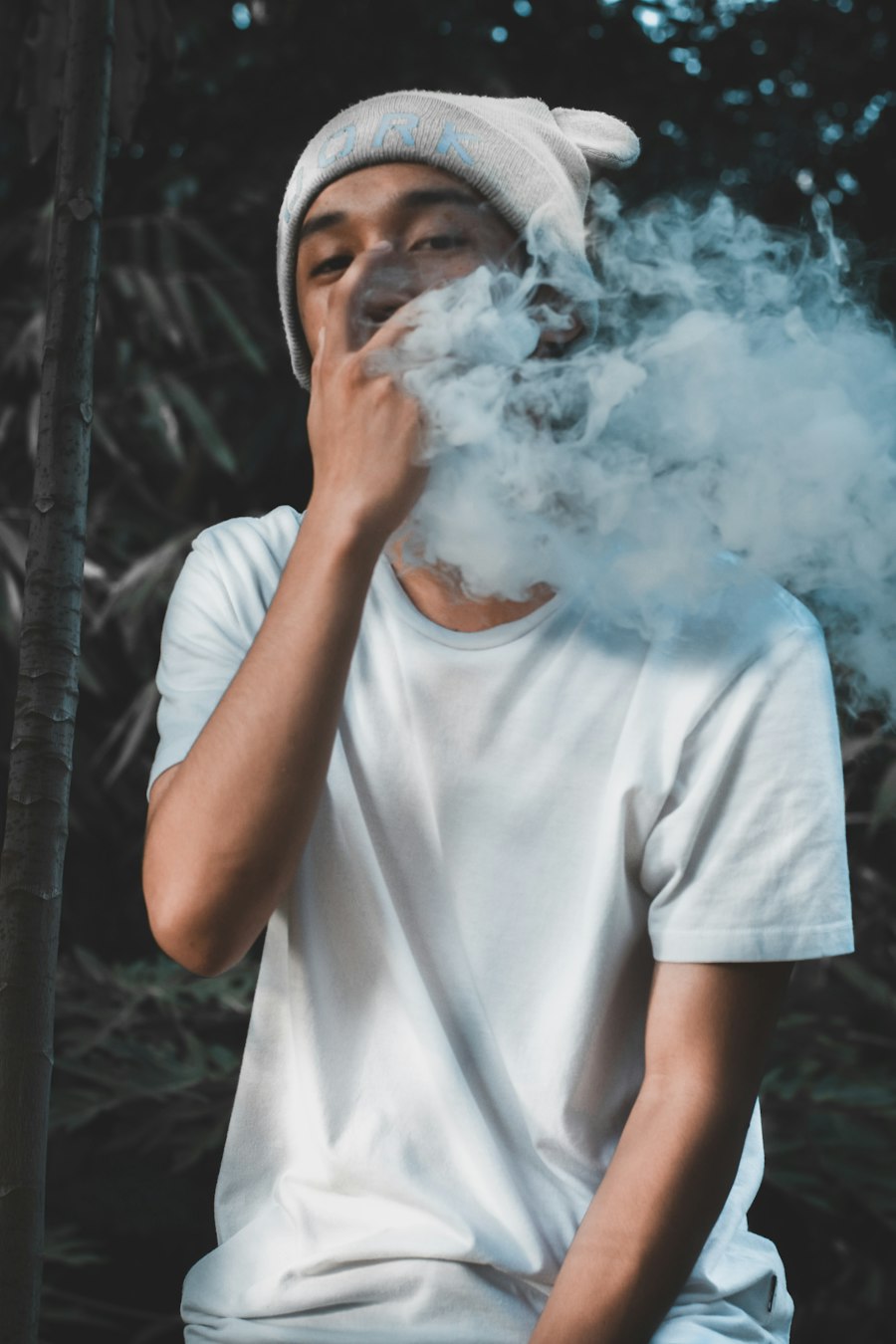 vape starter kit